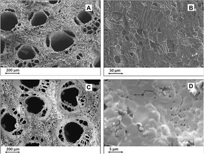 Biomorphic Transformations: A Leap Forward in Getting Nanostructured 3-D Bioceramics